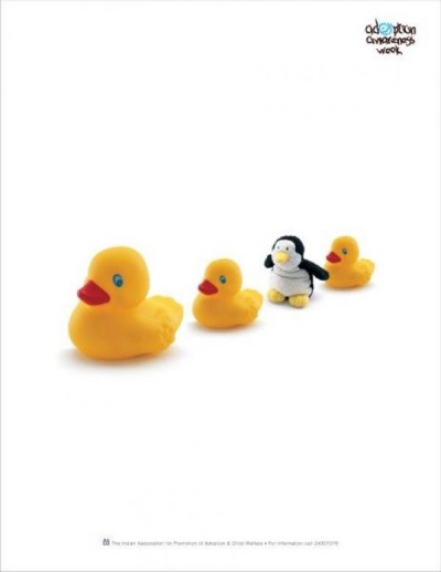 adoption-week-duck-small-68468