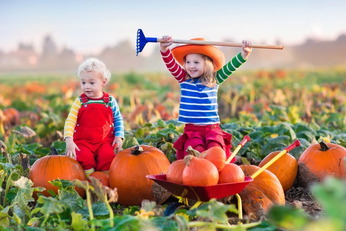 Осенний урожай для детей